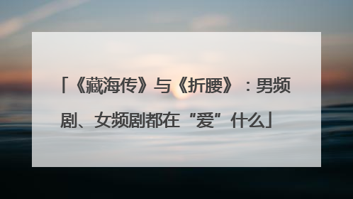 《藏海传》与《折腰》：男频剧、女频剧都在“爱”什么
