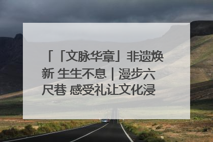 「文脉华章」非遗焕新 生生不息｜漫步六尺巷 感受礼让文化浸润的“巷”往生活