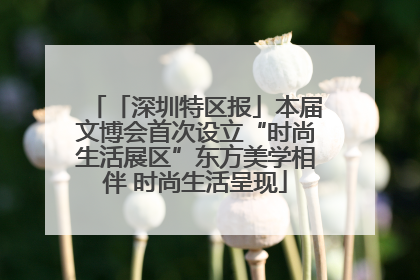 「深圳特区报」本届文博会首次设立“时尚生活展区”东方美学相伴 时尚生活呈现