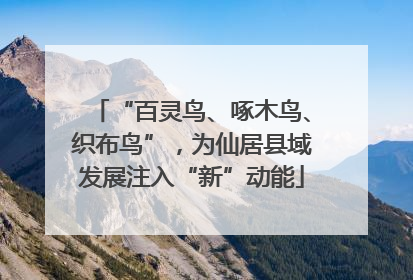 “百灵鸟、啄木鸟、织布鸟”，为仙居县域发展注入“新”动能