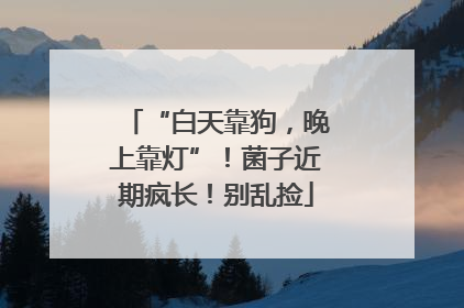 “白天靠狗，晚上靠灯”！菌子近期疯长！别乱捡
