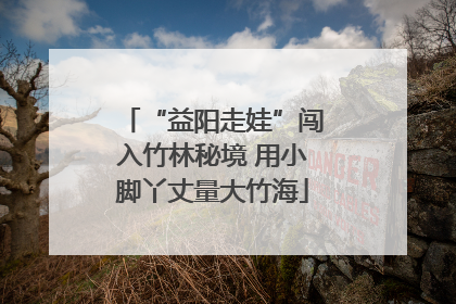 “益阳走娃”闯入竹林秘境 用小脚丫丈量大竹海