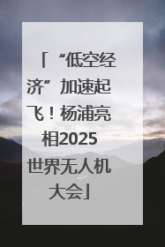 “低空经济”加速起飞！杨浦亮相2025世界无人机大会