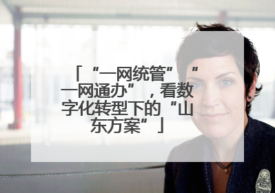 “一网统管”“一网通办”，看数字化转型下的“山东方案”