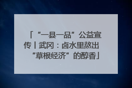 “一县一品”公益宣传丨武冈：卤水里熬出“草根经济”的醇香