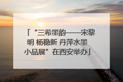 “三希墨韵——宋黎明 杨稳新 丹萍水墨小品展”在西安举办