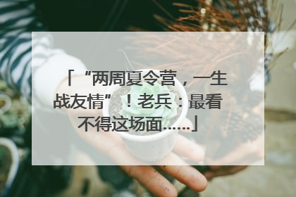 “两周夏令营，一生战友情”！老兵：最看不得这场面……