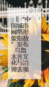 “中国城市网络形象指数”发布 乌鲁木齐文化与治理表现突出