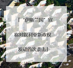 “伊斯兰国”宣称对叙利亚新政权发动首次袭击