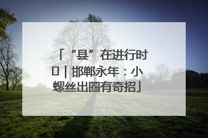“县”在进行时⑬｜邯郸永年：小螺丝出圈有奇招