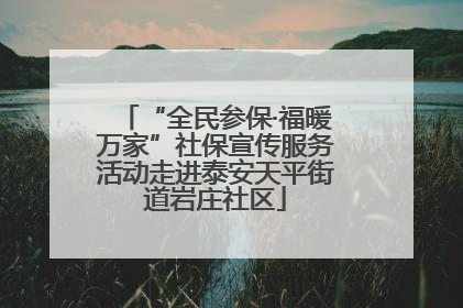 “全民参保·福暖万家”社保宣传服务活动走进泰安天平街道岩庄社区