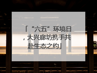 “六五”环境日，大兴廊坊携手共赴生态之约