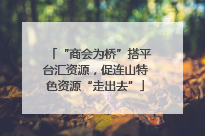 “商会为桥”搭平台汇资源，促连山特色资源“走出去”