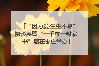 “因为爱·生生不息”摄影展暨“一千零一封家书”展在枣庄举办