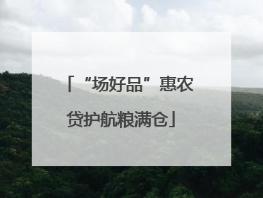 “场好品”惠农贷护航粮满仓