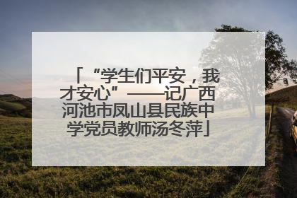 “学生们平安，我才安心”——记广西河池市凤山县民族中学党员教师汤冬萍