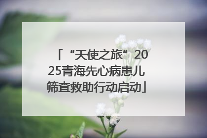 “天使之旅”2025青海先心病患儿筛查救助行动启动