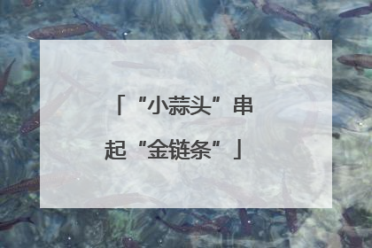 “小蒜头”串起“金链条”