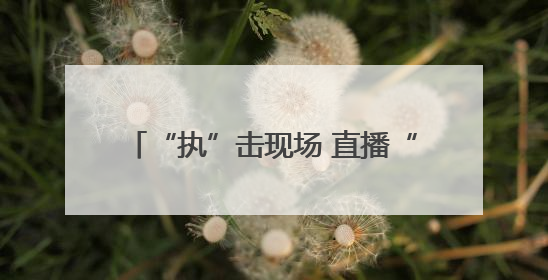 “执”击现场 直播“亮剑”！新野县法院开展集中执行直播活动