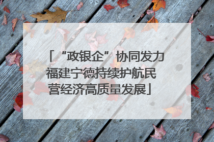 “政银企”协同发力 福建宁德持续护航民营经济高质量发展