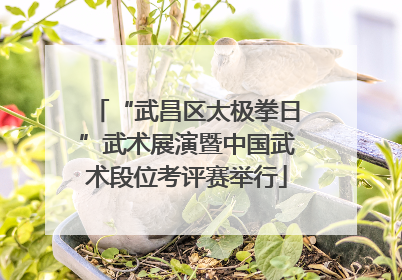 “武昌区太极拳日”武术展演暨中国武术段位考评赛举行