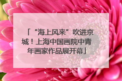 “海上风来”吹进京城！上海中国画院中青年画家作品展开幕