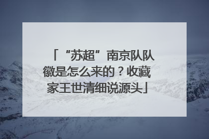 “苏超”南京队队徽是怎么来的？收藏家王世清细说源头