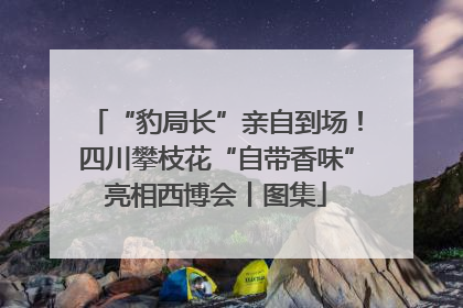 “豹局长”亲自到场！四川攀枝花“自带香味”亮相西博会丨图集