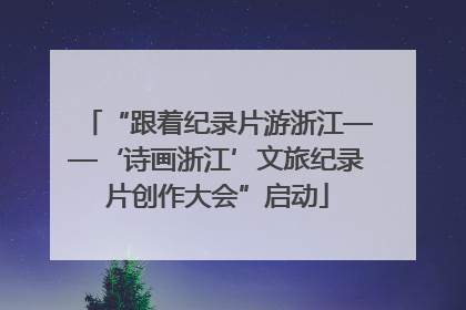 “跟着纪录片游浙江——‘诗画浙江’文旅纪录片创作大会”启动