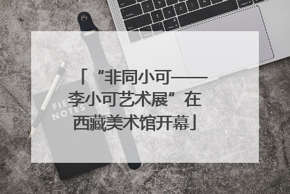 “非同小可——李小可艺术展”在西藏美术馆开幕