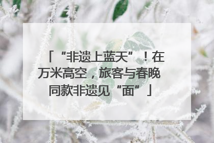 “非遗上蓝天”！在万米高空，旅客与春晚同款非遗见“面”