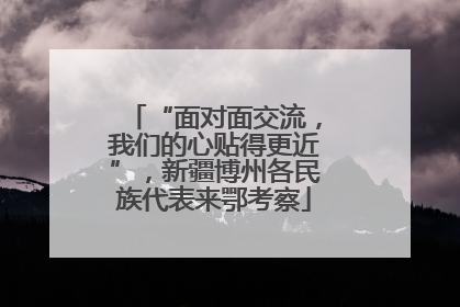“面对面交流，我们的心贴得更近”，新疆博州各民族代表来鄂考察
