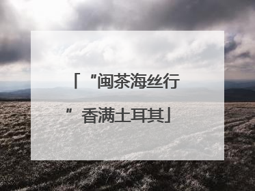 “闽茶海丝行”香满土耳其