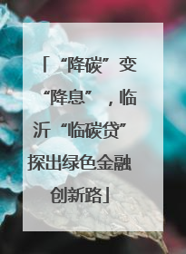 “降碳”变“降息”，临沂“临碳贷”探出绿色金融创新路