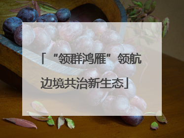 “领群鸿雁”领航边境共治新生态