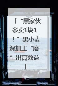 “黑家伙多卖1块1！”黑小麦深加工“磨”出高效益