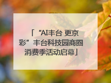 “AI丰台 更京彩”丰台科技园商圈消费季活动启幕