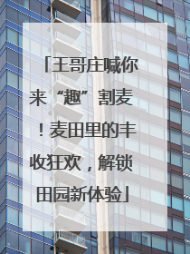 王哥庄喊你来“趣”割麦！麦田里的丰收狂欢，解锁田园新体验