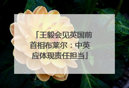 王毅会见英国前首相布莱尔：中英应体现责任担当