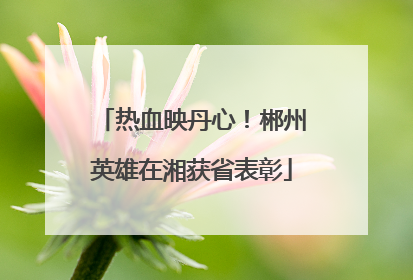 热血映丹心！郴州英雄在湘获省表彰