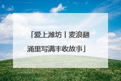 爱上潍坊丨麦浪翻涌里写满丰收故事