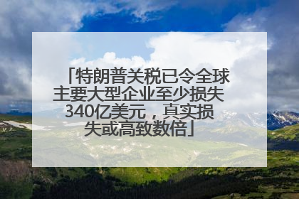 特朗普关税已令全球主要大型企业至少损失340亿美元，真实损失或高致数倍