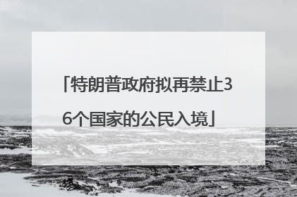 特朗普政府拟再禁止36个国家的公民入境