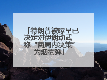特朗普被曝早已决定对伊朗动武 称“两周内决策”为烟雾弹