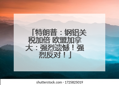 特朗普：钢铝关税加倍 欧盟加拿大：强烈遗憾！强烈反对！