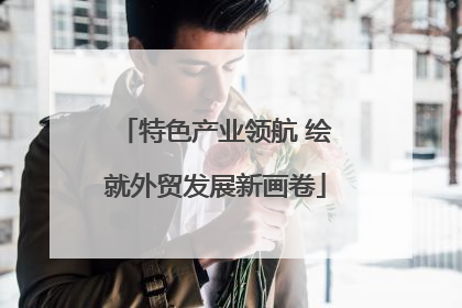 特色产业领航 绘就外贸发展新画卷