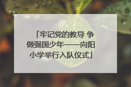 牢记党的教导 争做强国少年——向阳小学举行入队仪式
