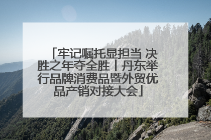 牢记嘱托显担当 决胜之年夺全胜丨丹东举行品牌消费品暨外贸优品产销对接大会