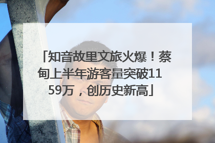 知音故里文旅火爆！蔡甸上半年游客量突破1159万，创历史新高