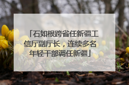 石如根跨省任新疆工信厅副厅长，连续多名年轻干部调任新疆